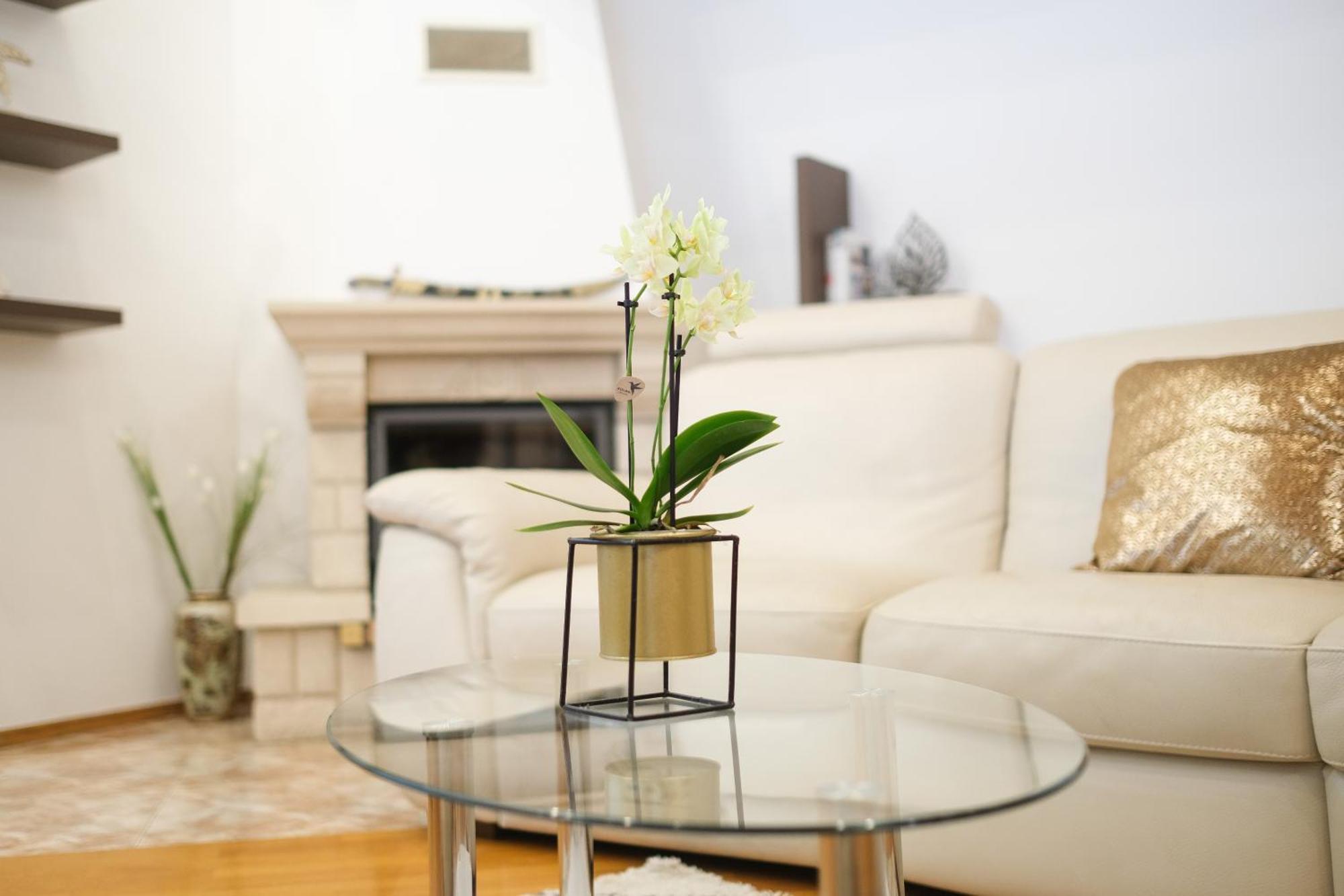 Hisa Perla Holiday home